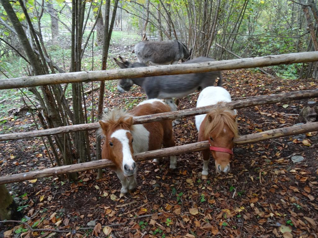 Winnewieser Vandoies Exterior foto